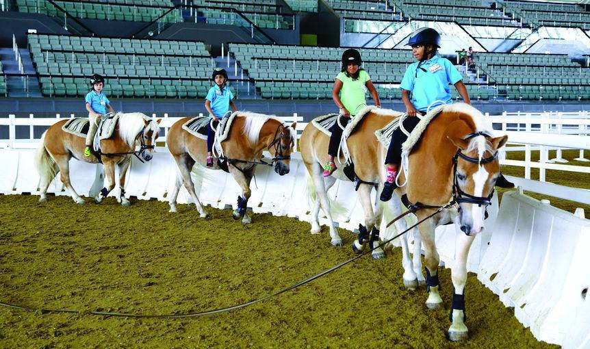 HoofbeatZ Horses & Humans in Harmony - equestrian in Phoenix, AZ