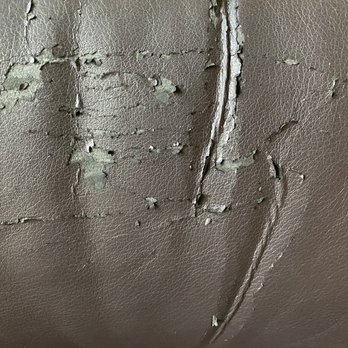 Havertys Furniture - Do you believe this? Crumbling right before my eyes. I'll end up having to send these $5000 chairs to the junkyard. - Furniture Stores Near Me - Brandon, Florida Havertys Furniture - Do you believe this? Crumbling right before my eyes. I'll end up having to send these $5000 chairs to the junkyard. - Furniture Stores Near Me - Brandon, Florida