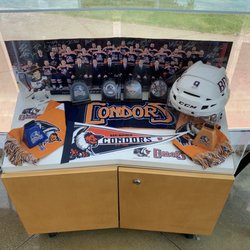 Visit Bakersfield - Condors