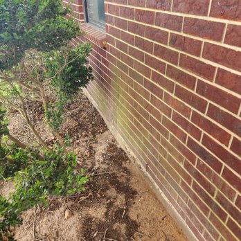Spring Pressure Washing Services - Before Soft Wash. Organic growth beginning to take over this beautiful red brick. - Pressure Washers Near Me Spring Pressure Washing Services - Before Soft Wash. Organic growth beginning to take over this beautiful red brick. - Pressure Washers Near Me