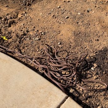 Brian's Concrete Services - Not-so-great job with landscape wiring. - Masonry/Concrete Near Me - canyon lake, California Brian's Concrete Services - Not-so-great job with landscape wiring. - Masonry/Concrete Near Me - canyon lake, California