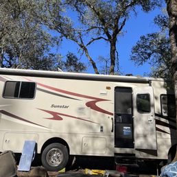 Bothe Napa State Park - November 8, 2023 Bothe Napa State Park - November 8, 2023