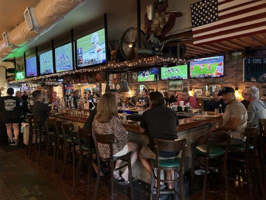 Parrot Lounge by null