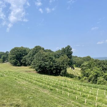 Benmarl Winery - Wineries Near Me - Marlboro, New York Benmarl Winery - Wineries Near Me - Marlboro, New York