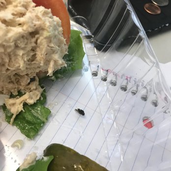 Palm Beach Bagel - Fly in food from Palm Beach Bagel - Breakfast & Brunch Near Me - Boca Raton, Florida Palm Beach Bagel - Fly in food from Palm Beach Bagel - Breakfast & Brunch Near Me - Boca Raton, Florida