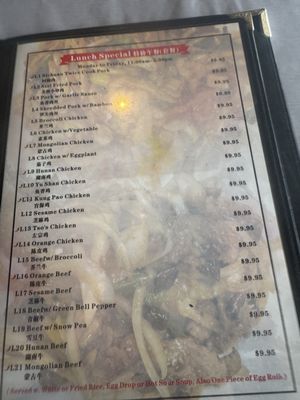 Menu photo 1 Yummy Sichuan Flower Mound, TX Menu photo 1 Yummy Sichuan Flower Mound, TX