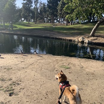 Tewinkle Park - Parks Near Me - Costa Mesa, California