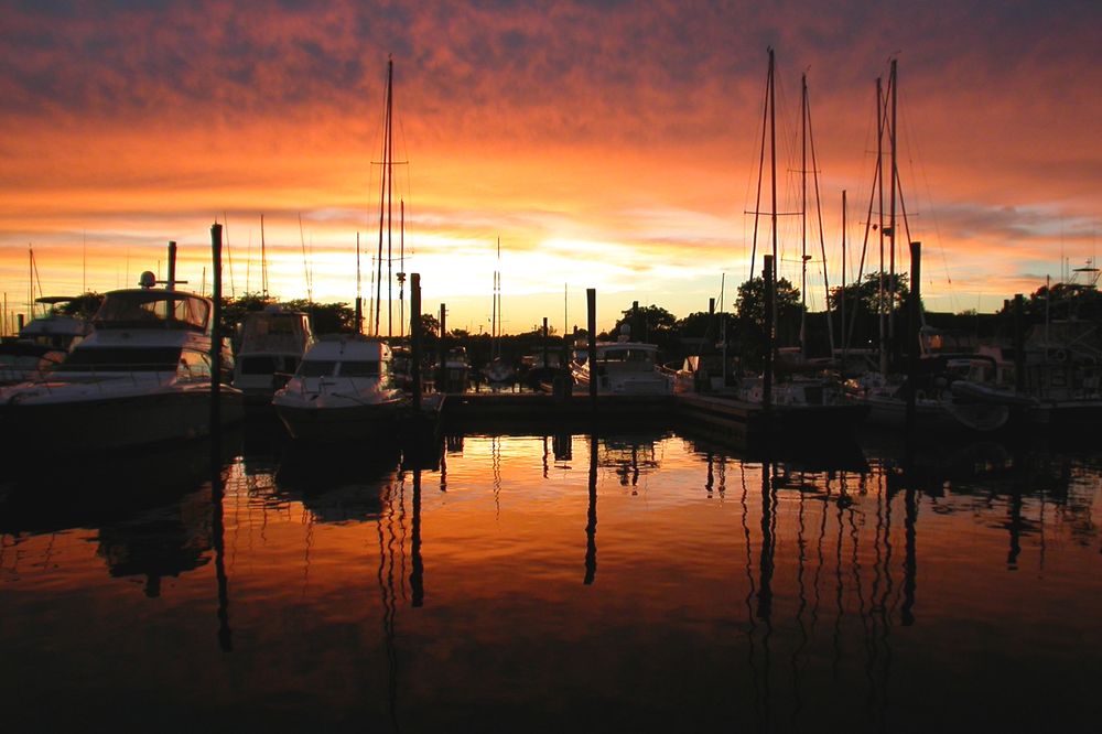 Norwalk Dept of Health Travel Immunization Servics - social services organization in Norwalk, CT