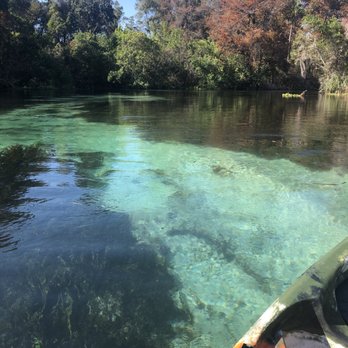 Easy Peasy Mobile Kayak Rental - So beautiful - Rafting/Kayaking Near Me Easy Peasy Mobile Kayak Rental - So beautiful - Rafting/Kayaking Near Me