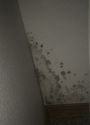 The Yards at Union Station by null