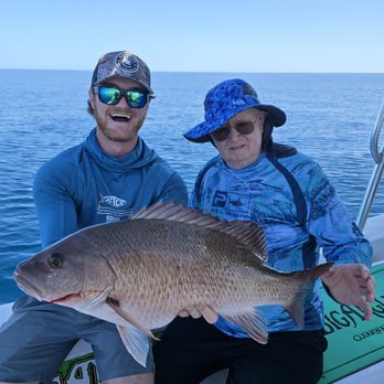 BigAngler Fishing Charters - Catching large mangrove snapper - Fishing Near Me - Clearwater Beach, Florida BigAngler Fishing Charters - Catching large mangrove snapper - Fishing Near Me - Clearwater Beach, Florida