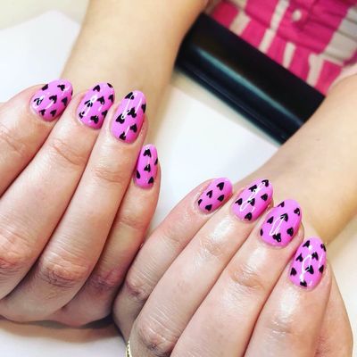 lark & sparrow by null