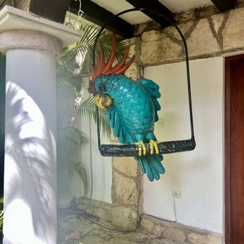 Pancho's Backyard - Mexican Near Me - San Miguel de Cozumel, ROO Pancho's Backyard - Mexican Near Me - San Miguel de Cozumel, ROO