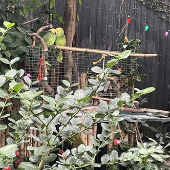 Bloedel Conservatory - Botanical Gardens Near Me - Vancouver, British Columbia