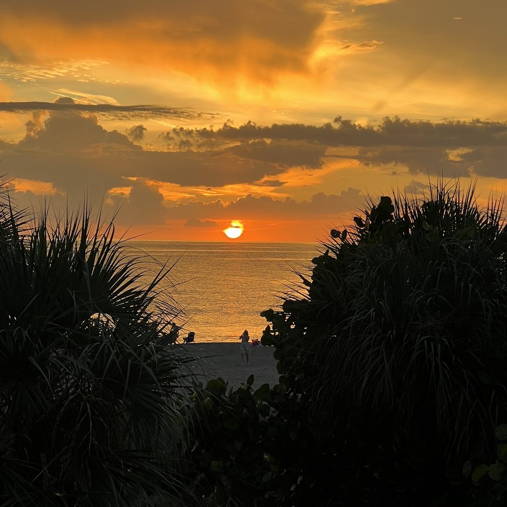 Fins At Sharky's - Beautiful views and good food! - Steakhouses Near Me - Venice, Florida Fins At Sharky's - Beautiful views and good food! - Steakhouses Near Me - Venice, Florida
