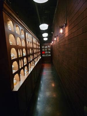 The White Rabbit by null