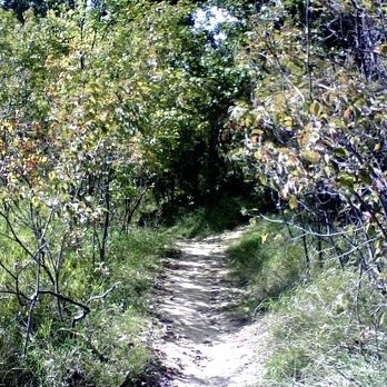 Neale Woods Nature Reserve - Gorgeous trails to walk/hike - Hiking Near Me - Omaha, Nebraska Neale Woods Nature Reserve - Gorgeous trails to walk/hike - Hiking Near Me - Omaha, Nebraska