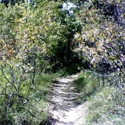 Neale Woods Nature Reserve - Gorgeous trails to walk/hike