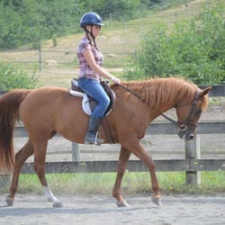 Sunset Lake Horsemanship