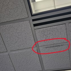 Stanley Steemer - What they were supposed to remove but didnt