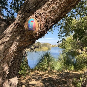 Harbor Bay Trail - 8/10/24 Fairy door - Parks Near Me - Alameda, California Harbor Bay Trail - 8/10/24 Fairy door - Parks Near Me - Alameda, California