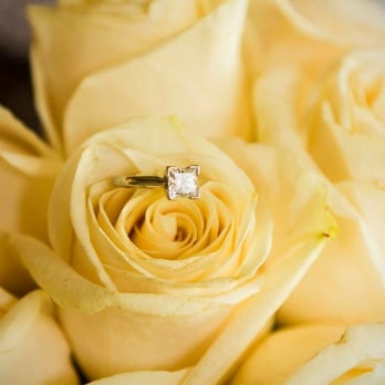 Bliss Photography - Session Photography Near Me