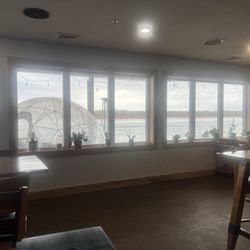 The Paddle Trap - View of the River