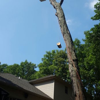I R Tree Removal - Tree Services Near Me I R Tree Removal - Tree Services Near Me
