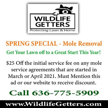 Wildlife Getters - Wildlife Control Near Me Wildlife Getters - Wildlife Control Near Me