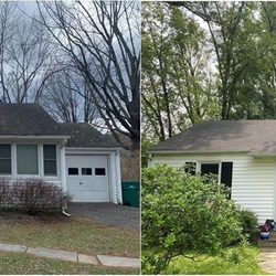 Blue Mountain Roof Cleaning