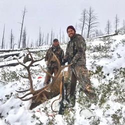 Elk Fork Outfitters - Wyoming Elk Hunting with Elk Fork Outfitters