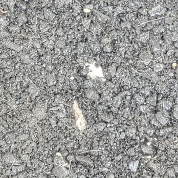 Custom Paving and Seal Coating - Item 4 coming through asphault. - Masonry/Concrete Near Me Custom Paving and Seal Coating - Item 4 coming through asphault. - Masonry/Concrete Near Me
