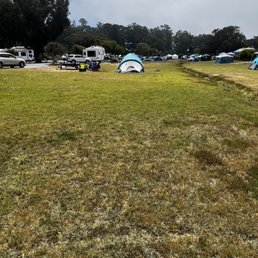 Campsite, no trees