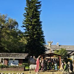 St Luke's Catholic Church - Epiphany Sunday (1.7.24)... outdoor Nativity Scene