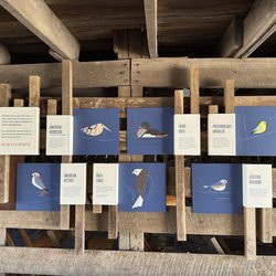 Seven Islands State Birding Park - Exhibit