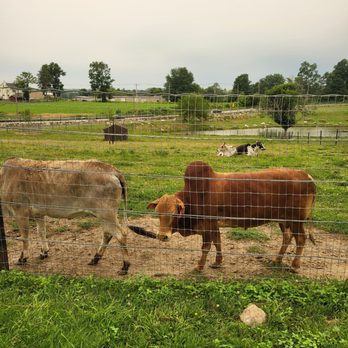 Action Wildlife Foundation - Community Service/Non-Profit Near Me - Goshen, Connecticut