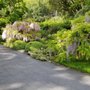 Photo of Cardenas Landscaping and Gardening