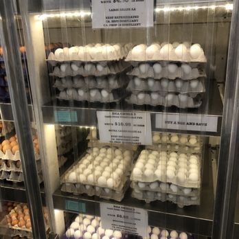 Maust's California Poultry - Shelf - Farms Near Me - Chino, California Maust's California Poultry - Shelf - Farms Near Me - Chino, California