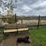 Dog Park, Downtown