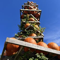 Taves Family Farms Applebarn - Pumpkin pyramid