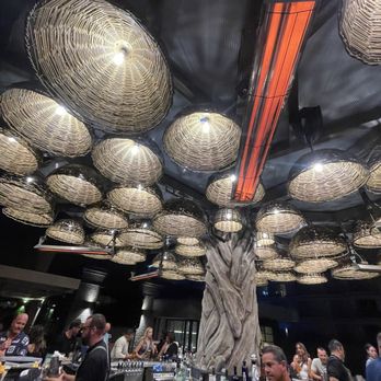 The Treehouse on PCH photo 11