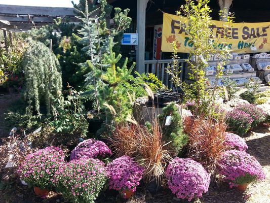 Jerry's Nursery & Landscaping by null