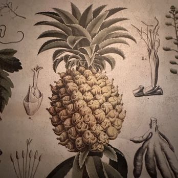 The Royce - lovely wallpaper. love all things pineapple!!! - Wine Bars Near Me - Detroit, Michigan The Royce - lovely wallpaper. love all things pineapple!!! - Wine Bars Near Me - Detroit, Michigan