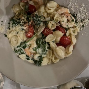 Bernini - Italian Near Me - Tampa, Florida Bernini - Italian Near Me - Tampa, Florida