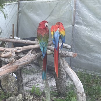 Butterfly World - Botanical Gardens Near Me - Coconut Creek, Florida