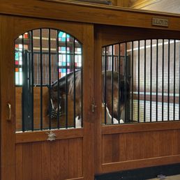 Visit to the Clydesdales
