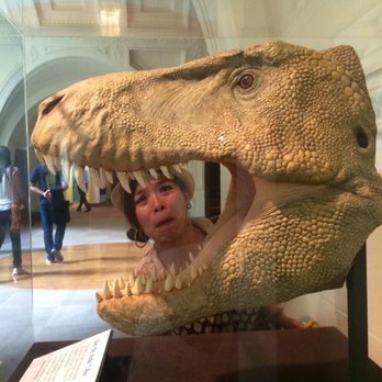 Field Museum - Museums Near Me - Chicago, Illinois Field Museum - Museums Near Me - Chicago, Illinois