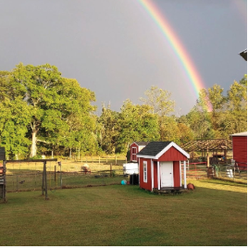 Fuster Cluck Farm - Farmers Market Near Me - Kenly, North Carolina Fuster Cluck Farm - Farmers Market Near Me - Kenly, North Carolina