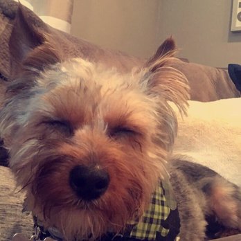 EmBark Pet Spa - Pet Groomers Near Me - Milwaukee, Wisconsin