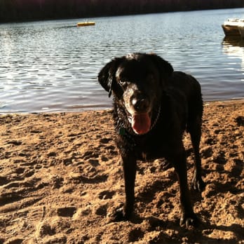 Norway Kennels - Pet Boarding Near Me - Marseilles, Illinois Norway Kennels - Pet Boarding Near Me - Marseilles, Illinois